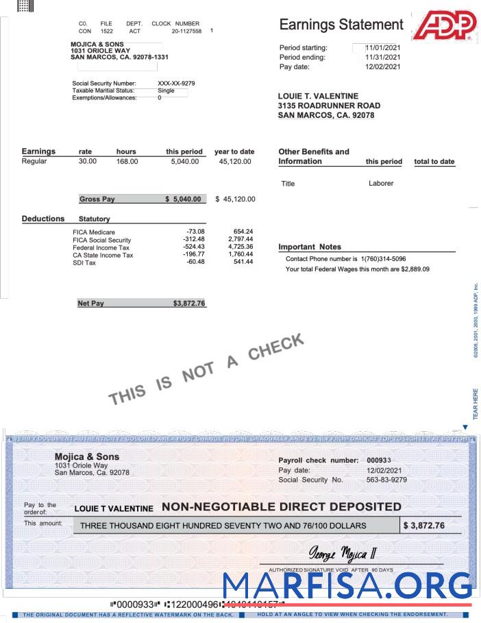 Realistic ADP earnings statement (1) example